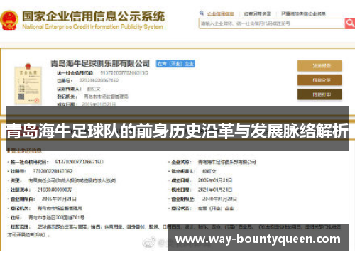 青岛海牛足球队的前身历史沿革与发展脉络解析