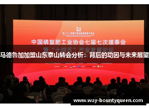 马德鲁加加盟山东泰山转会分析：背后的动因与未来展望